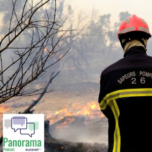 Working together to fight wildfires