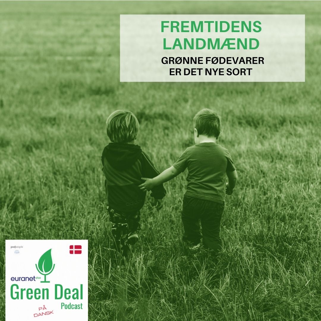 Green Deal Danmark