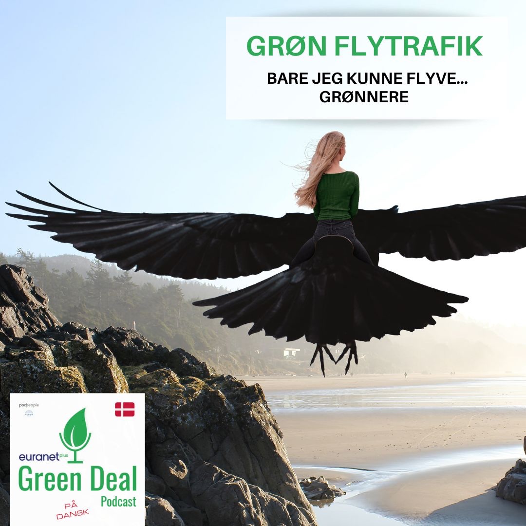 Green Deal Danmark