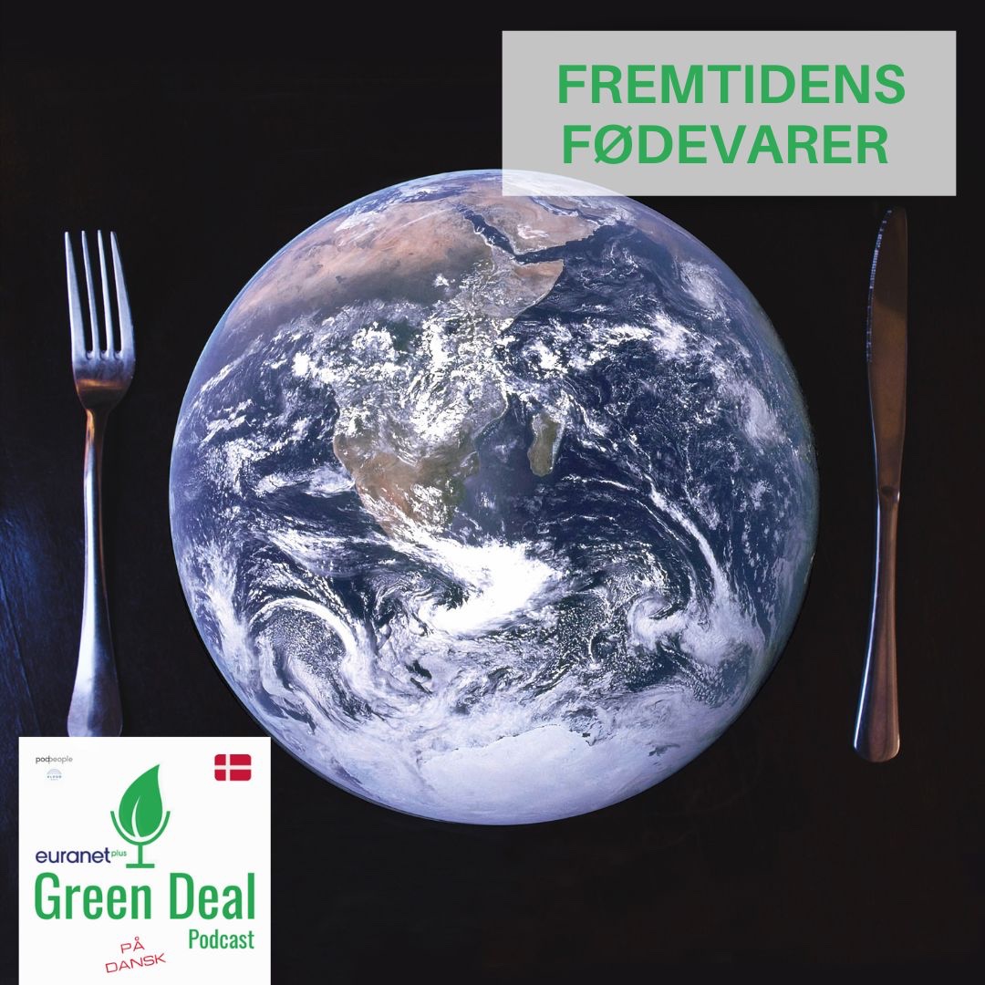 Green Deal Danmark