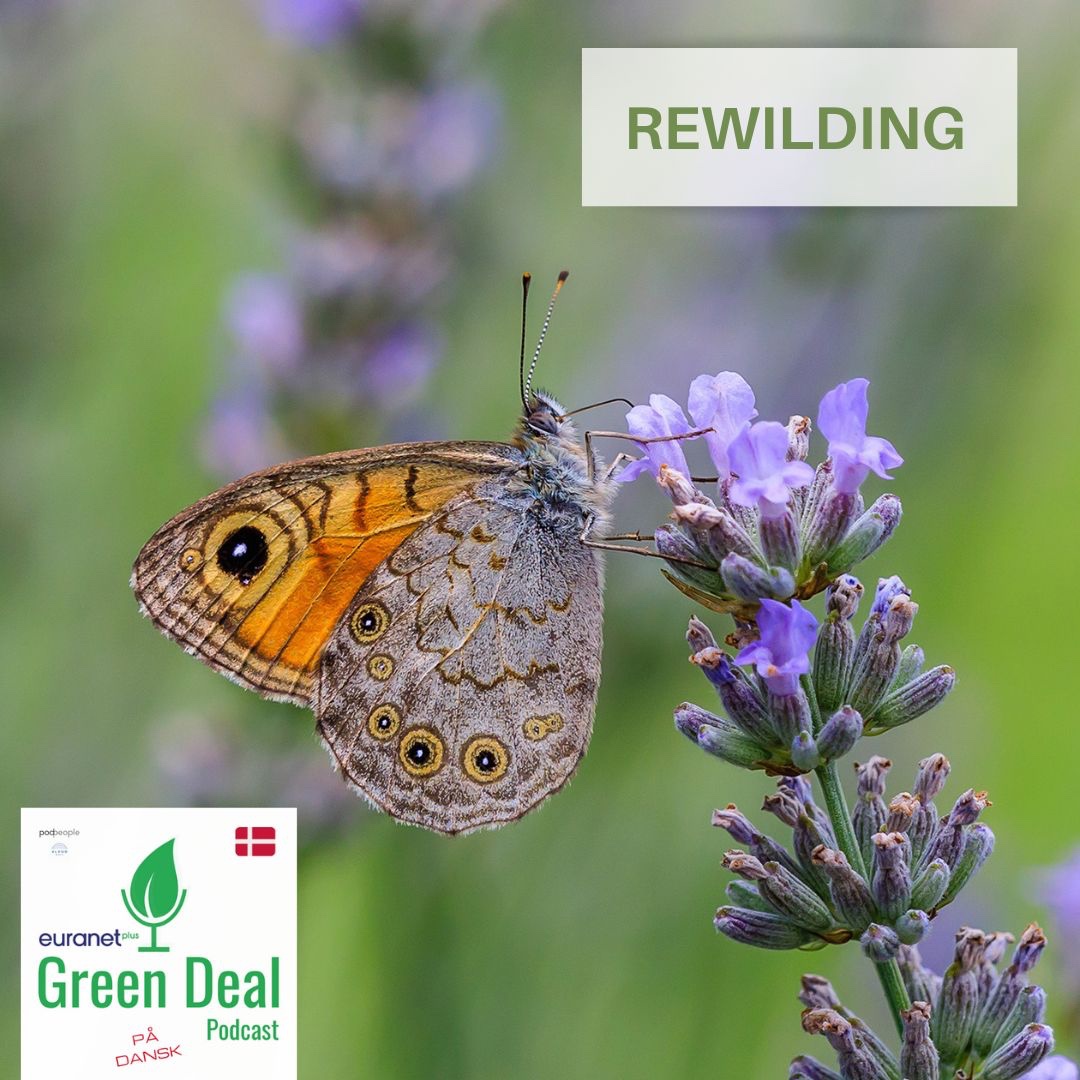 Green Deal Danmark