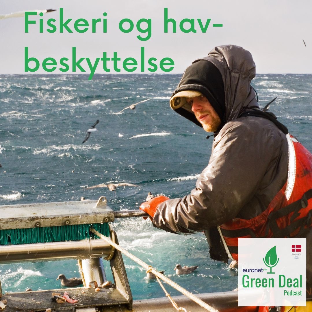 Green Deal Danmark