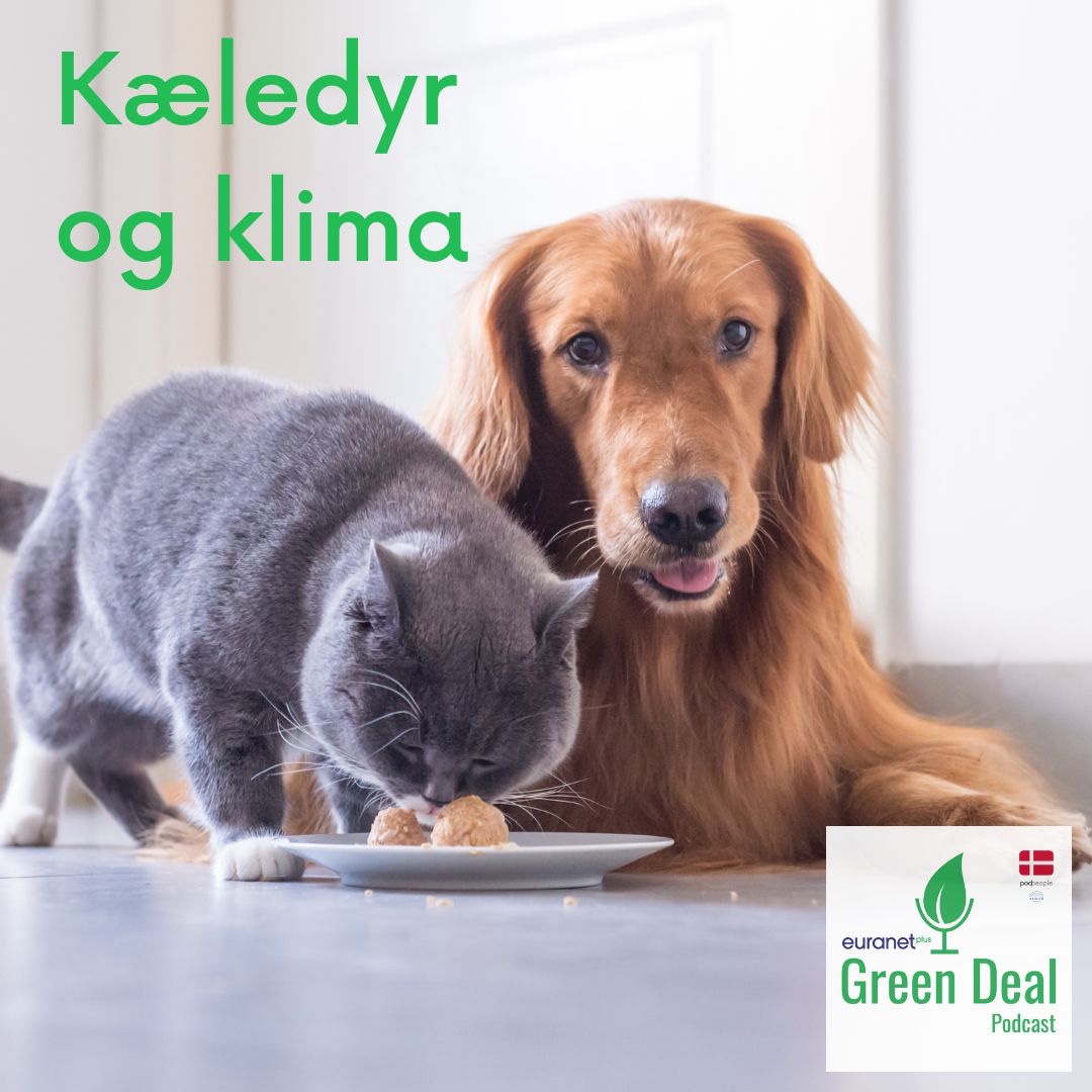 Green Deal Danmark