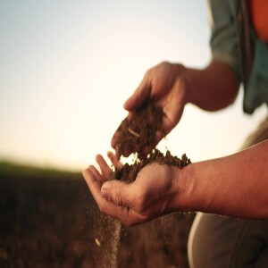 Tomorrow's Europe - Can food security be ensured for tomorrow's Europe? - Europe on SKAI - episode 12 (greek language)