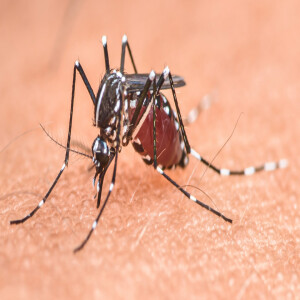 3. A holnap Európája – Tudjuk-e kezelni az éghajlatváltozás hatását az egészségünkre?