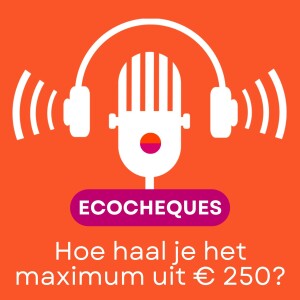 Wat kun je kopen met 250 euro aan ecocheques?