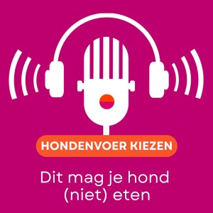 Het juiste hondenvoer voor jouw hond