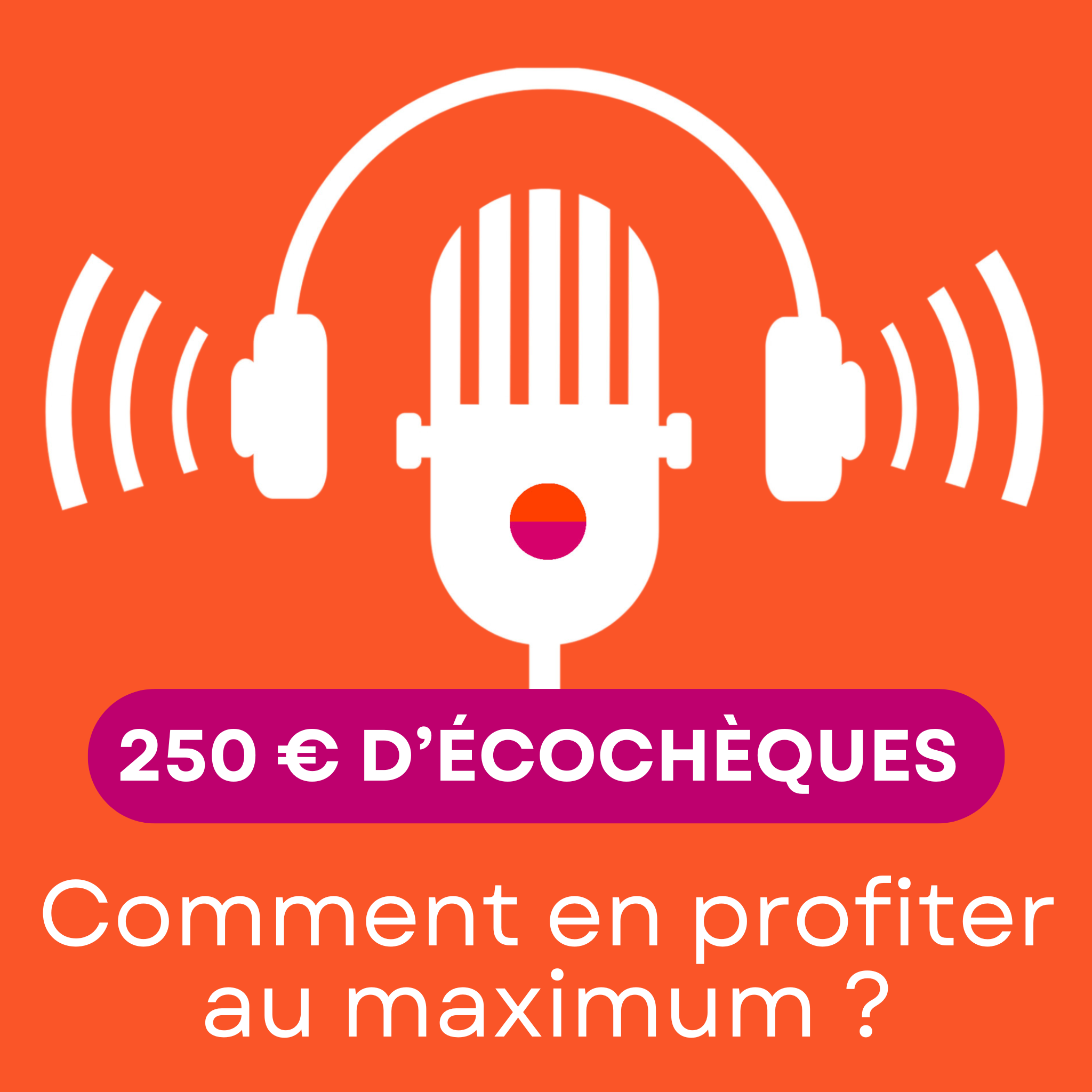 Que pouvez-vous acheter avec 250 euros d'écochèques ? episode artwork