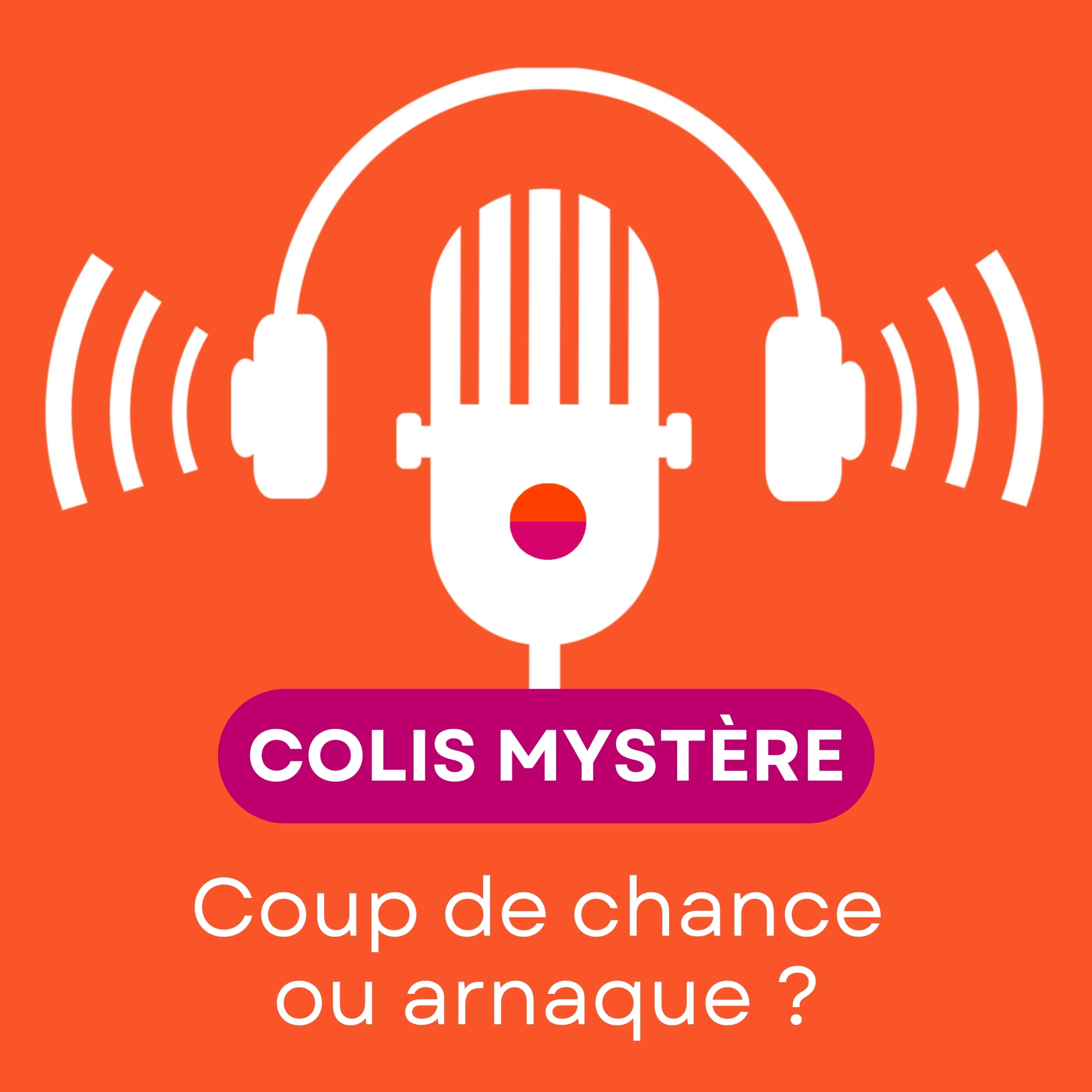 Colis perdu, bonne affaire ou mauvaise surprise ? episode artwork