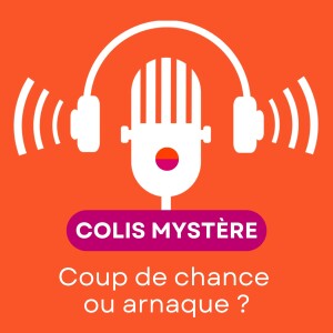 Colis perdu, bonne affaire ou mauvaise surprise ?