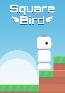 Обложка Square Bird
