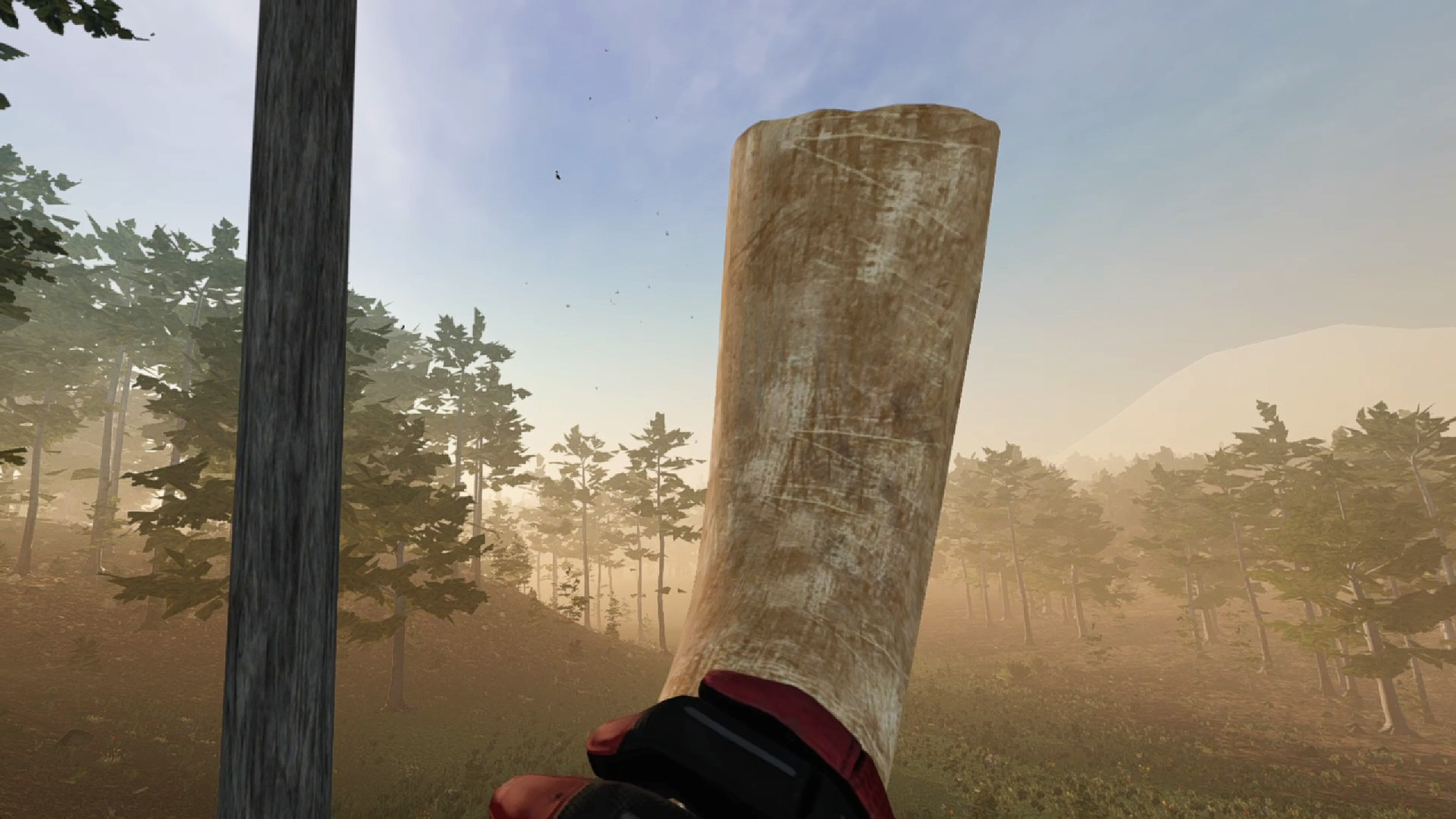Скриншот из игры Virtual Hunter