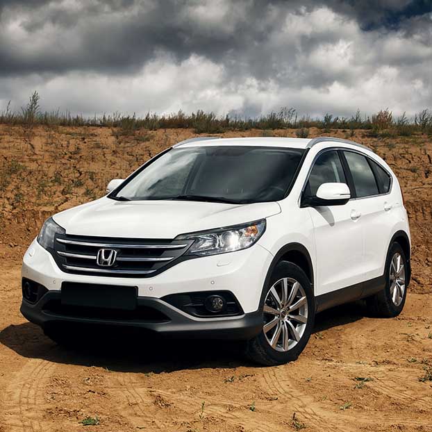Honda CR-V Hundeauto Hund und Auto Honda CR-V