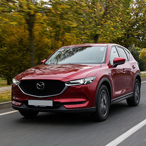 Mazda CX-5 Hundeauto Hund und Auto Mazda CX-5