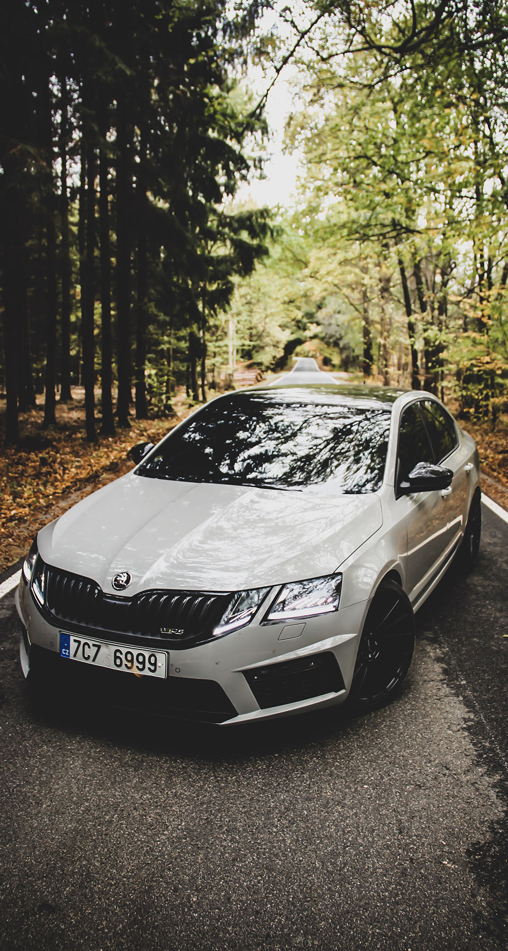 Skoda Gebrauchtwagen online bestellen