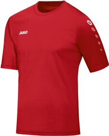 Trikot Team KA 01 116