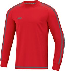 TW-Trikot Striker 2.0 01 M