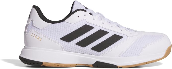 Ligra 8 Indoor  000 11,5