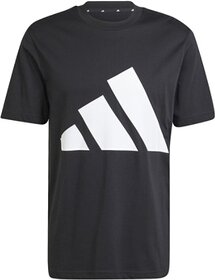 Essentials Big Logo  000 M