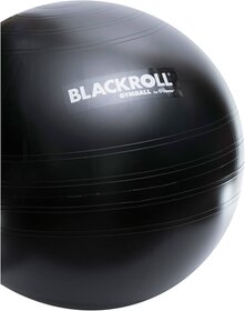 BLACKROLL(R) GYMBALL 65 - black BK 65