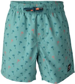 Cestery-Mini Boys Swim Shorts 1219 152