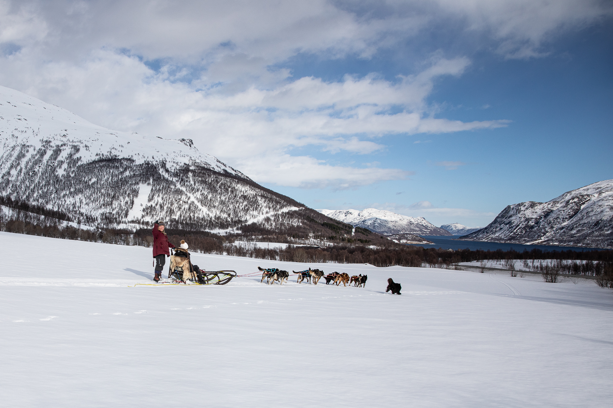 20260401 Brownell Isbreen 7686