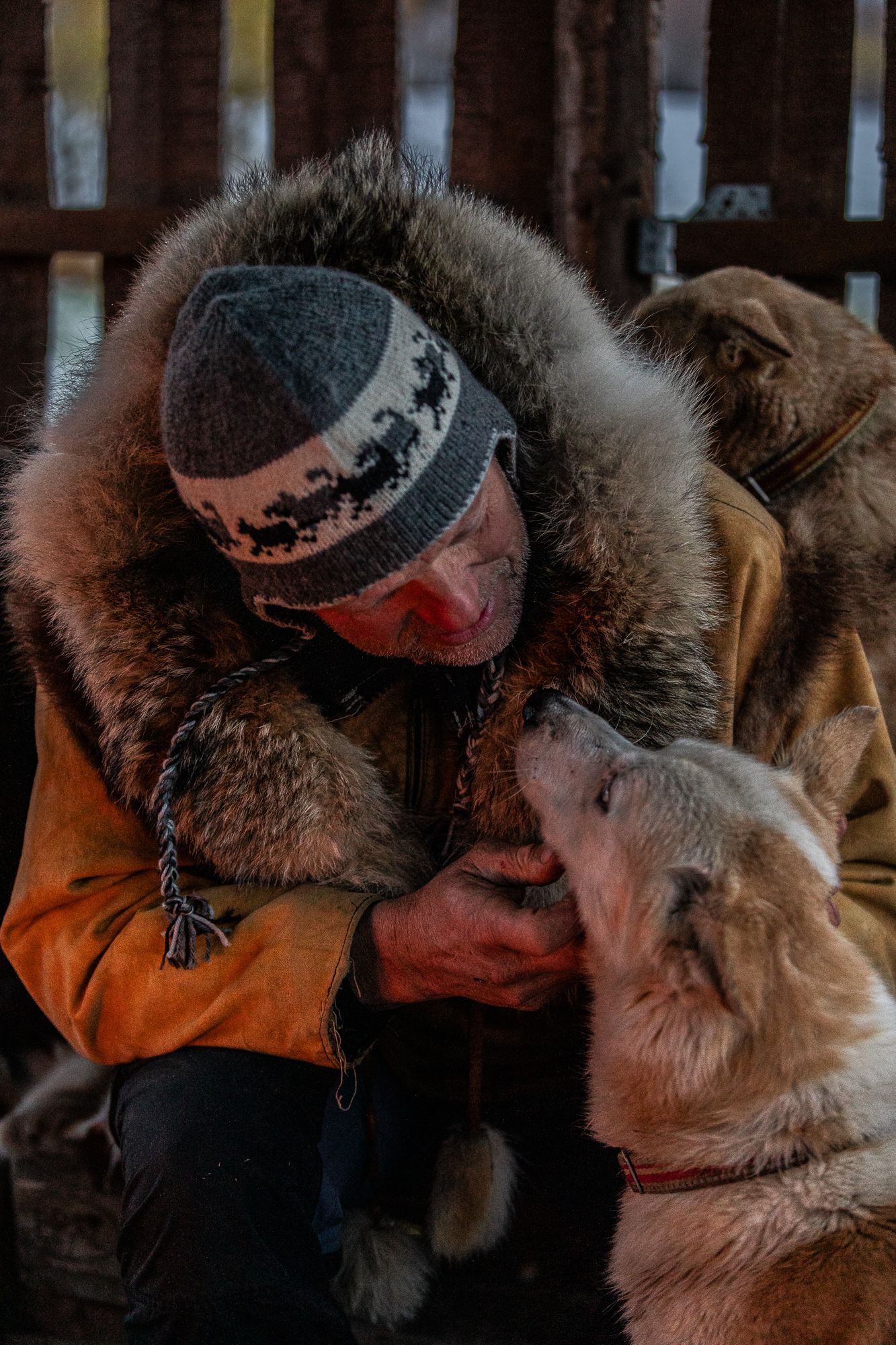 Parken Gard Husky