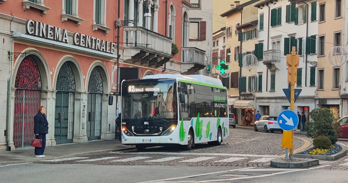 linea_82_udine