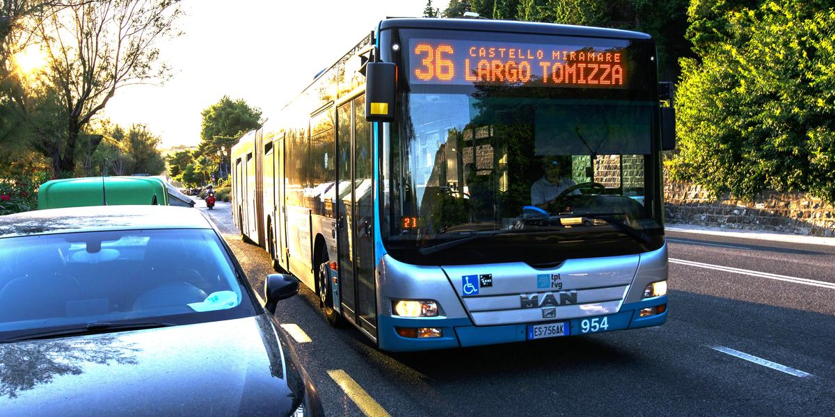 Linea urbana 36 di Trieste, lungo viale Miramare.