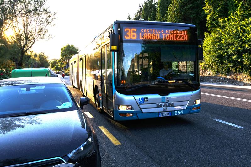 Linea urbana 36 di Trieste, lungo viale Miramare.
