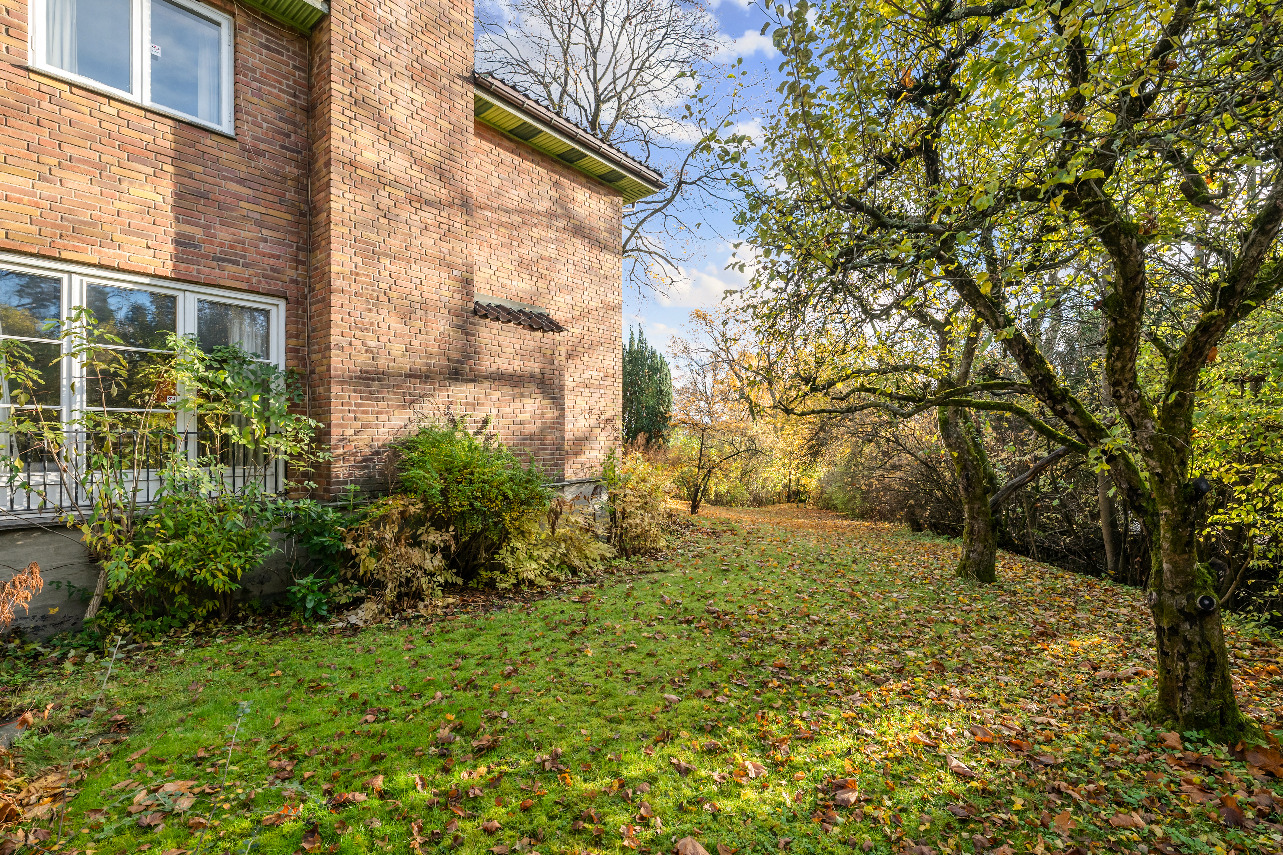 Hagen er pent opparbeidet med en gressplen, hekker og flotte trær.