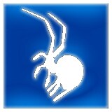 Logoaraneus systemlosungen gbr 357471de 2403051057