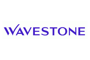 Logowavestone germany ag 93666de 2405271333