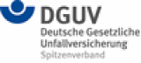 Deutsche gesetzliche unfallversicherung e v dguv  146589500656