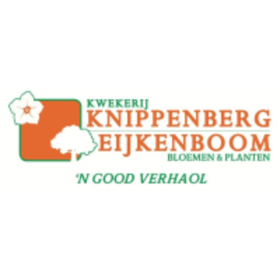 Logo Kwekerij Knippenberg-Eijkenboom