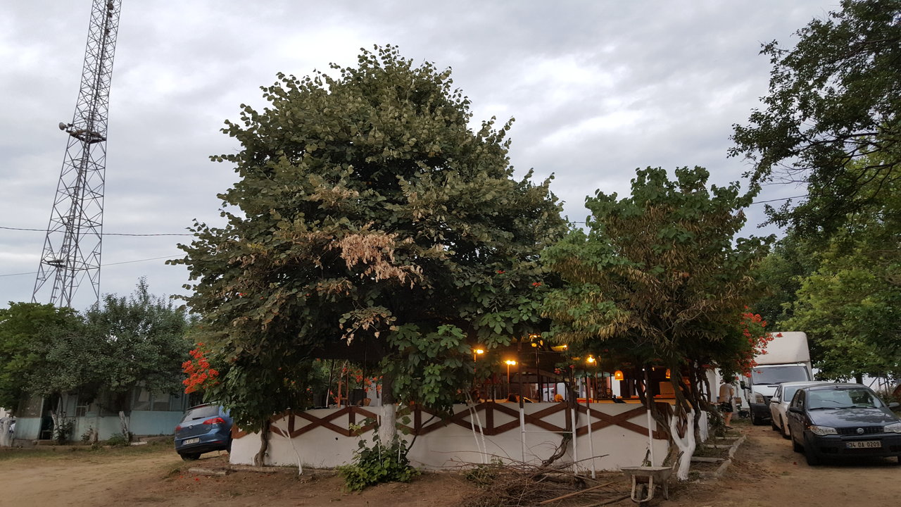 Dama Kamp Facility photo 3
