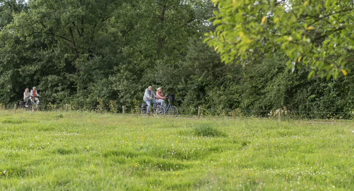Fietsen Tubbergen vakantie Recreatiepark Kaps 