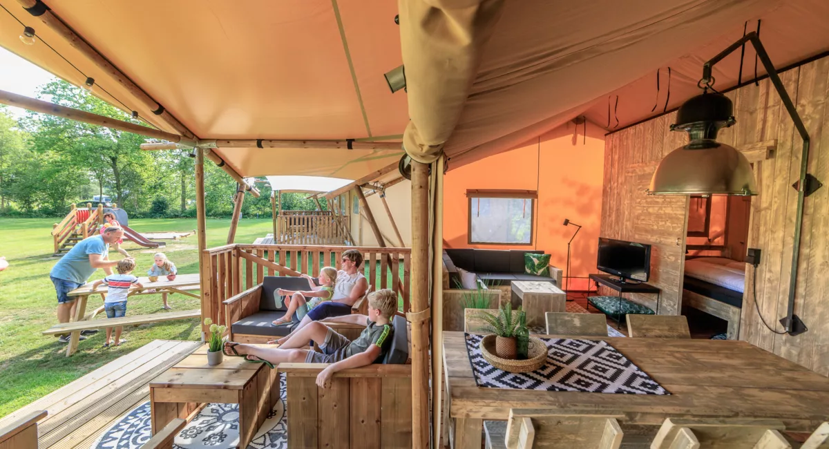 RUB9190625 0801 lores 