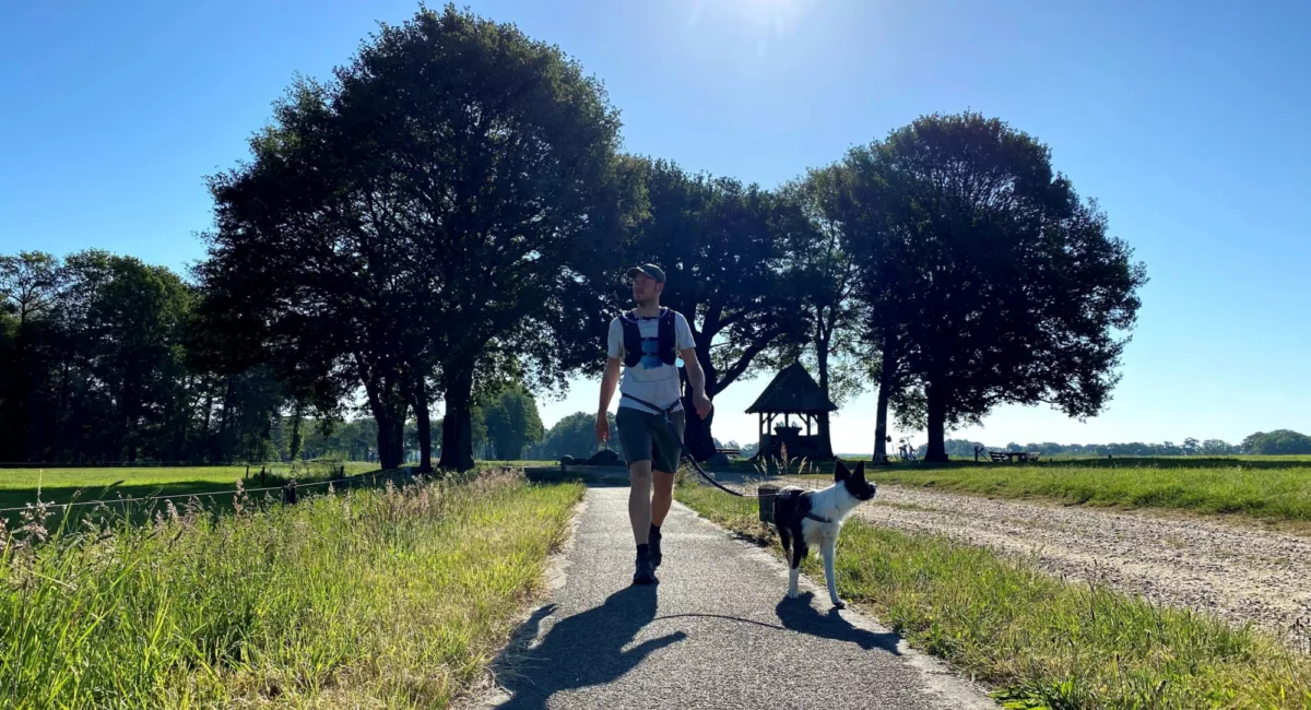 Wandelen kroezeboom tubbergen zomer 