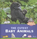 the cutest baby animals