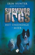 Het oneindige meer