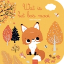 Wat is het bos mooi