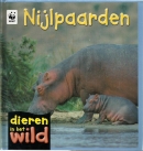 Nijlpaarden