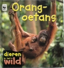 Orang-oetans