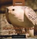 Havikachtigen & valken