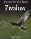 Zwaluw