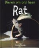 Rat