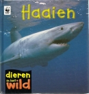 Haaien