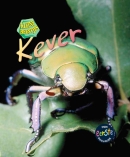 Kever
