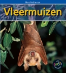 Vleermuizen
